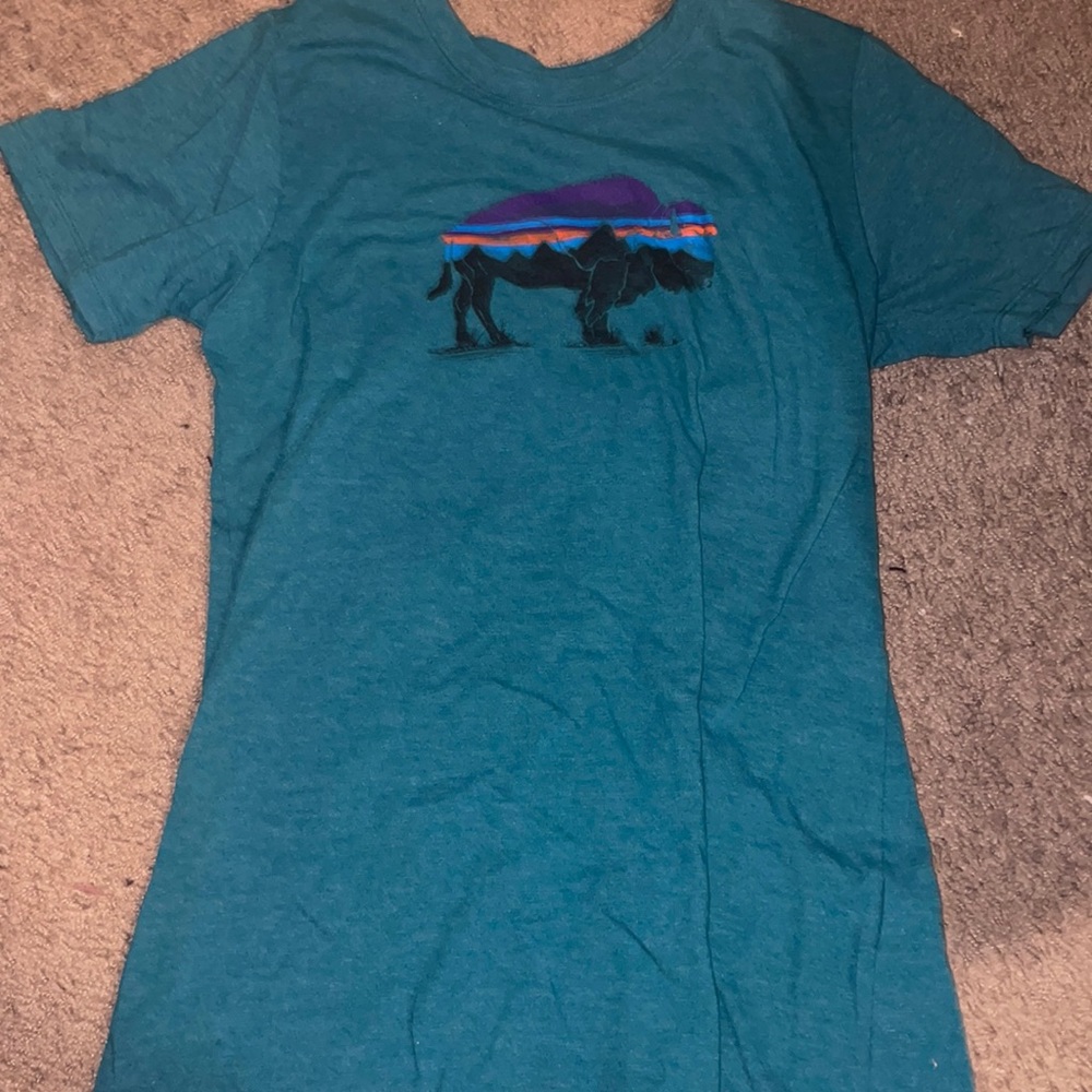 Patagonia turquoise T-shirt - size extra small - good condition